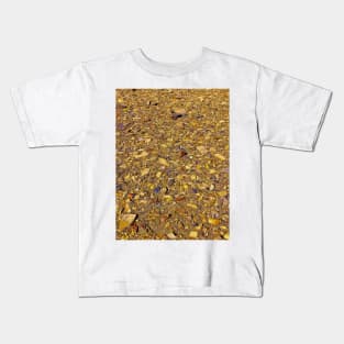 Weathered Patagonian rocks Kids T-Shirt